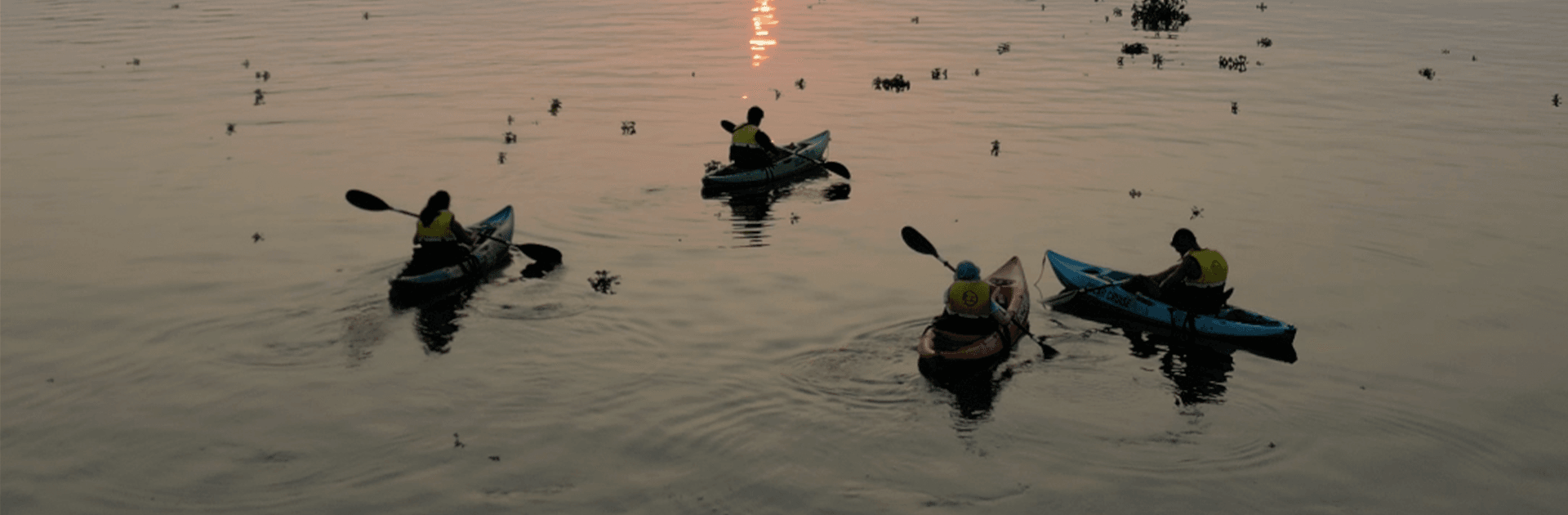 Kayaking in Havelock 1